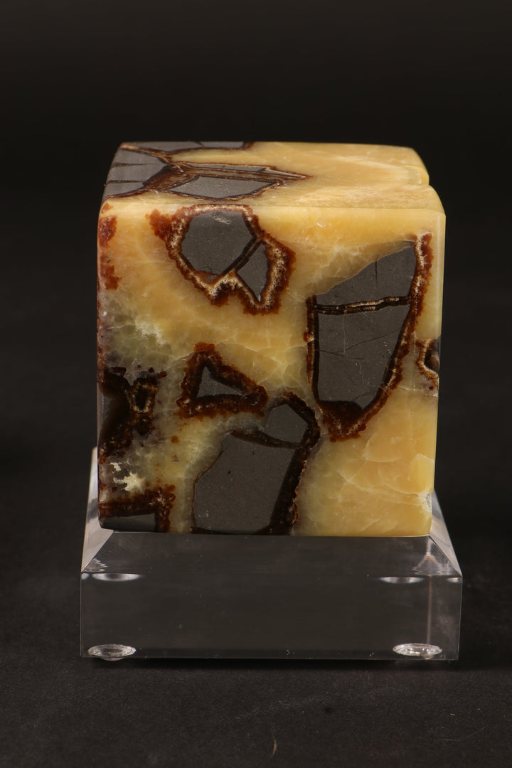 Cut Base Septarian Cube DM1260