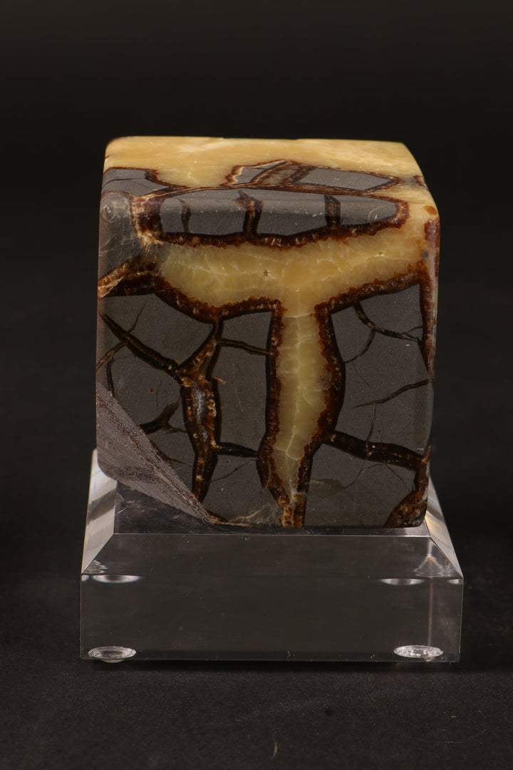 Cut Base Septarian Cube DM1260