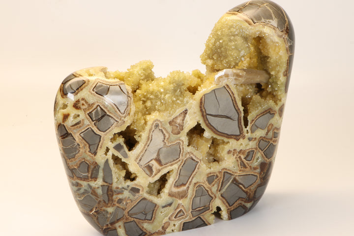 Septarian Geode Freeform with Barite DM1267