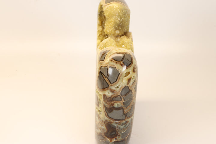 Septarian Geode Freeform with Barite DM1267