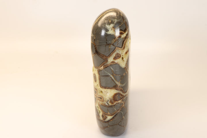 Septarian Geode Freeform with Barite DM1267