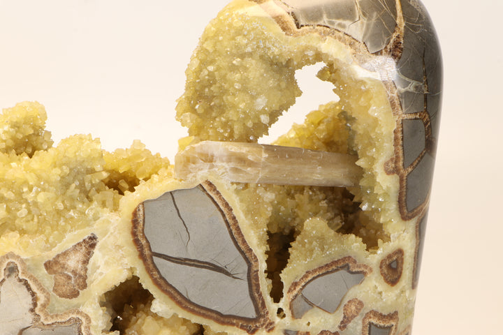 Septarian Geode Freeform with Barite DM1267