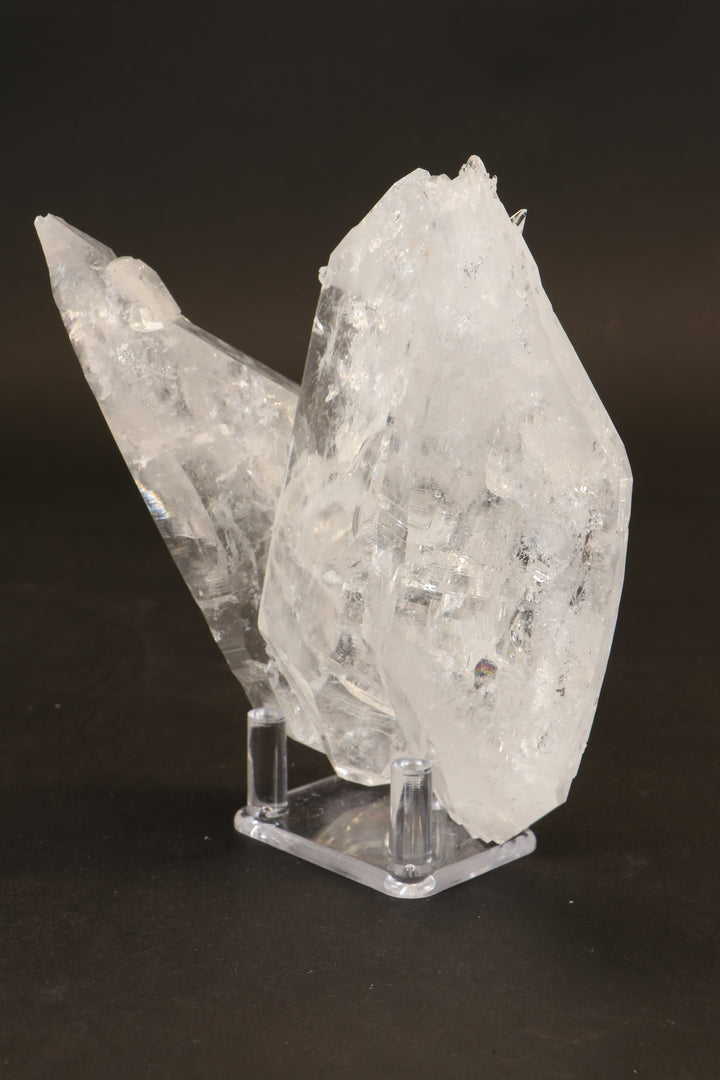 5" Floater Colombian Lemurian Cluster DM137