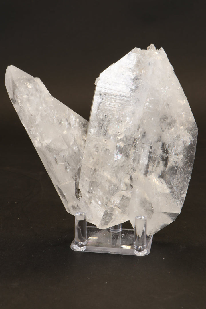 5" Floater Colombian Lemurian Cluster DM137