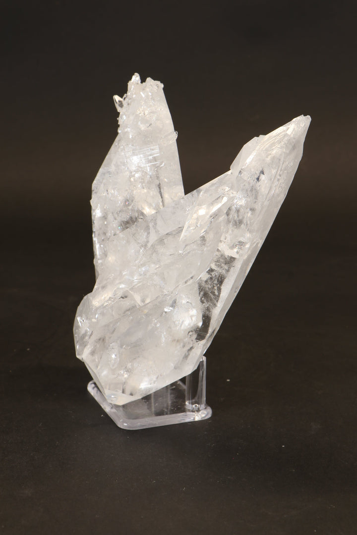 5" Floater Colombian Lemurian Cluster DM137
