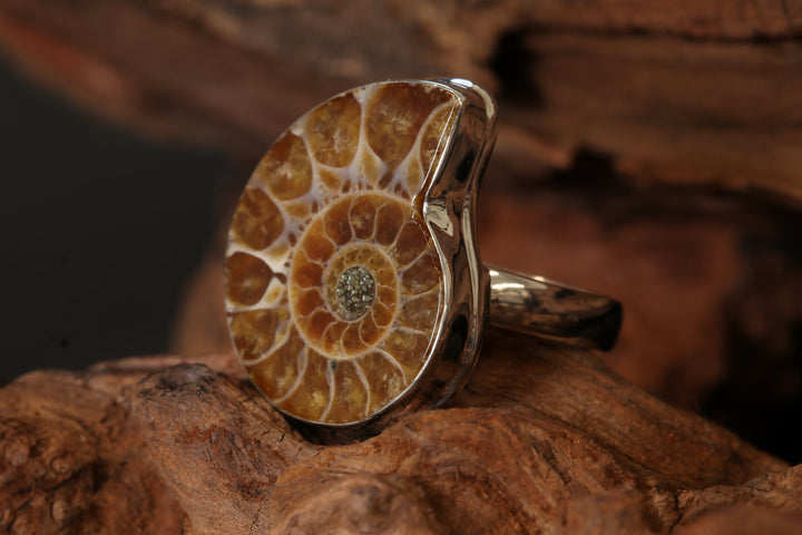Ammonite Ring Size 7 DS1947