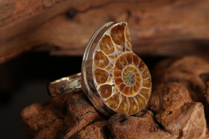 Ammonite Ring Size 7 DS1947