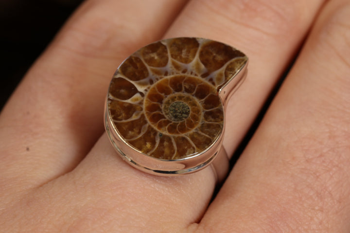 Ammonite Ring Size 7 DS1947