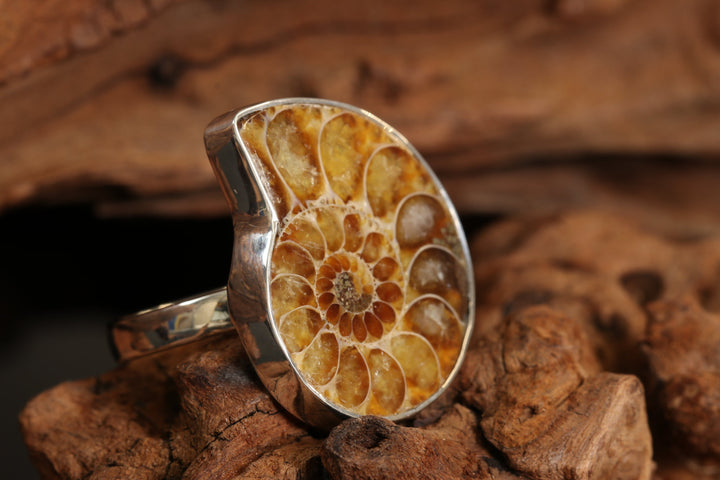 Ammonite Ring Size 8 DS1956