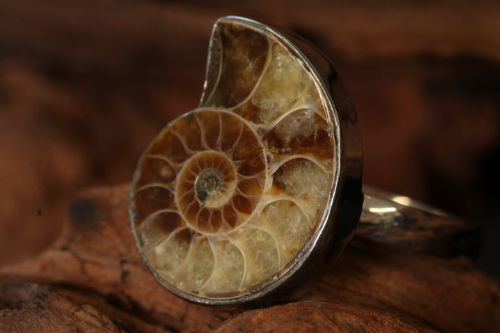 Ammonite Ring Size 9 DS1938