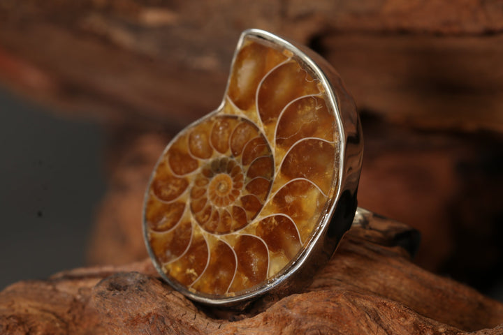 Ammonite Ring Size 8 DS1957
