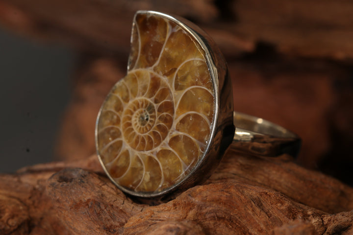 Ammonite Ring Size 8 DS1948
