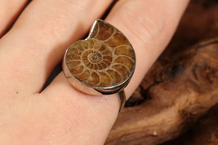 Ammonite Ring Size 8 DS1948