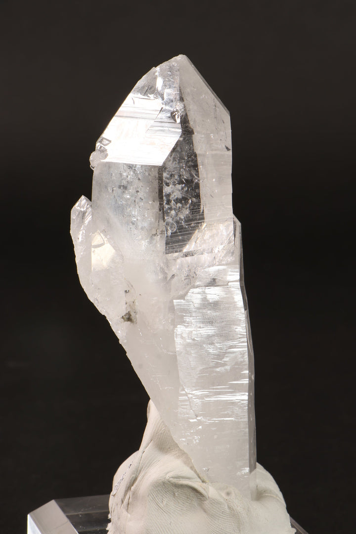 4" Colombian Lemurian DM255