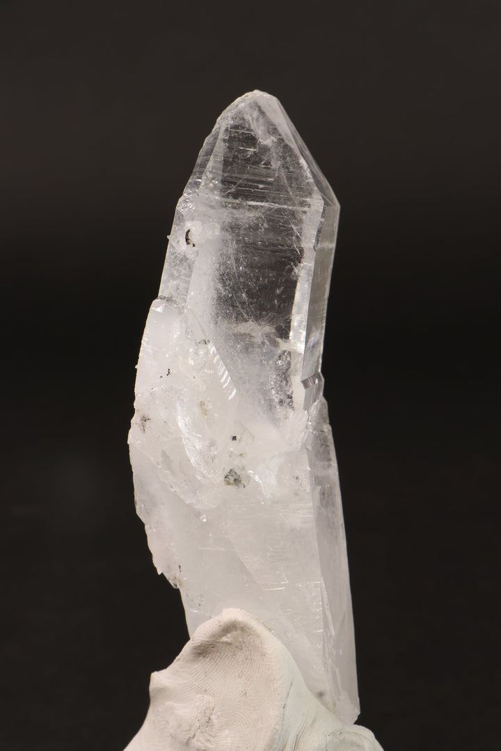 4" Colombian Lemurian DM255