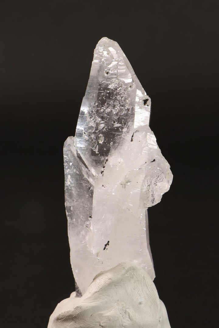 4" Colombian Lemurian DM255