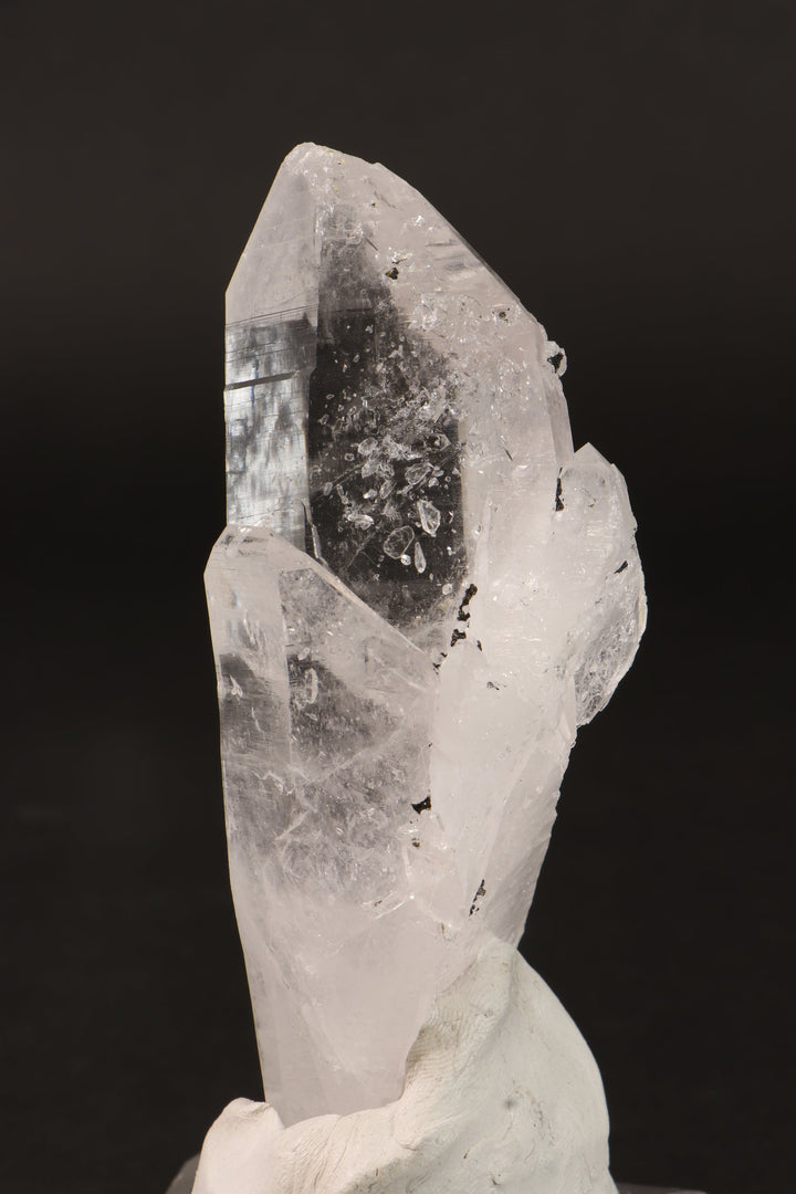 4" Colombian Lemurian DM255