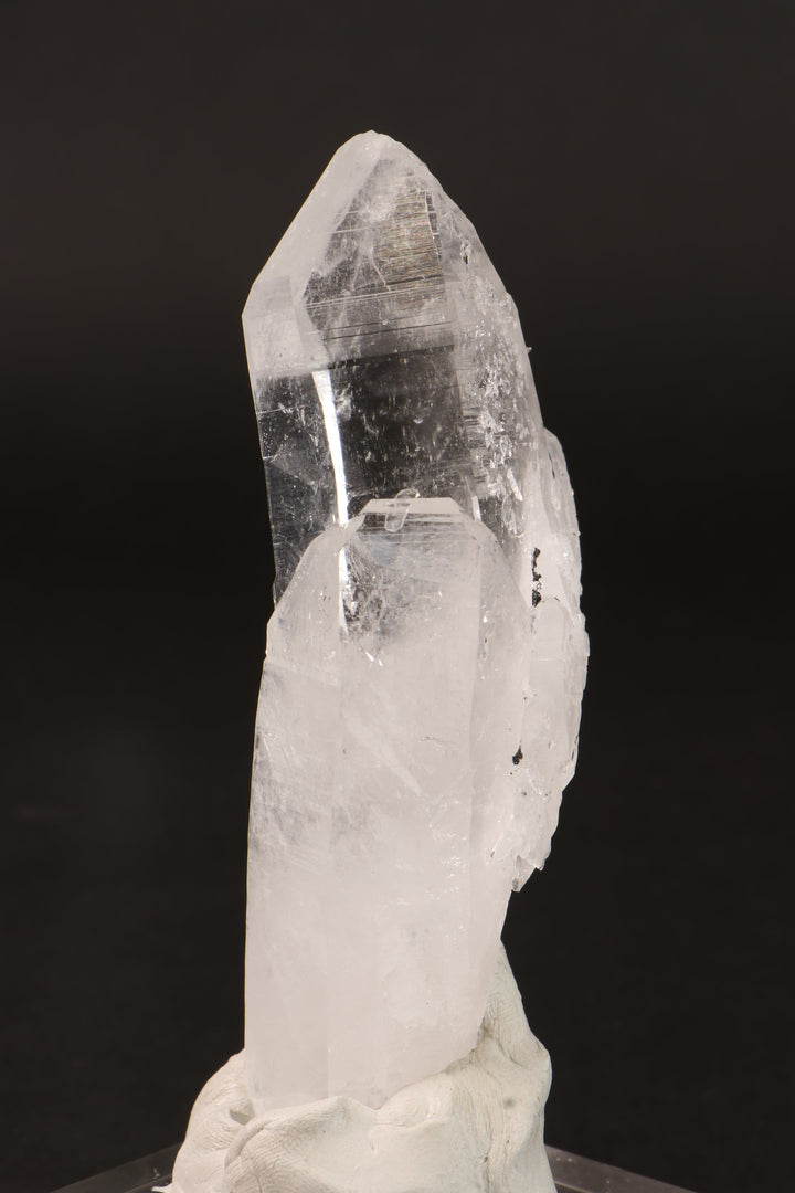 4" Colombian Lemurian DM255