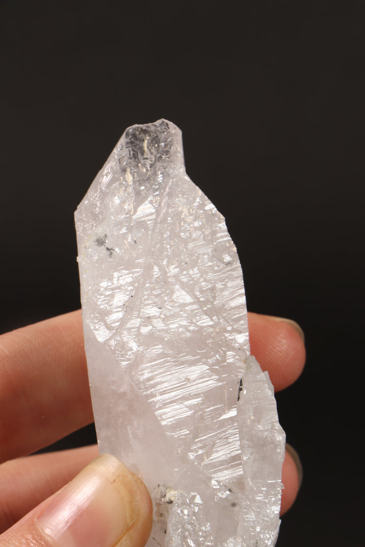 4" Colombian Lemurian DM255