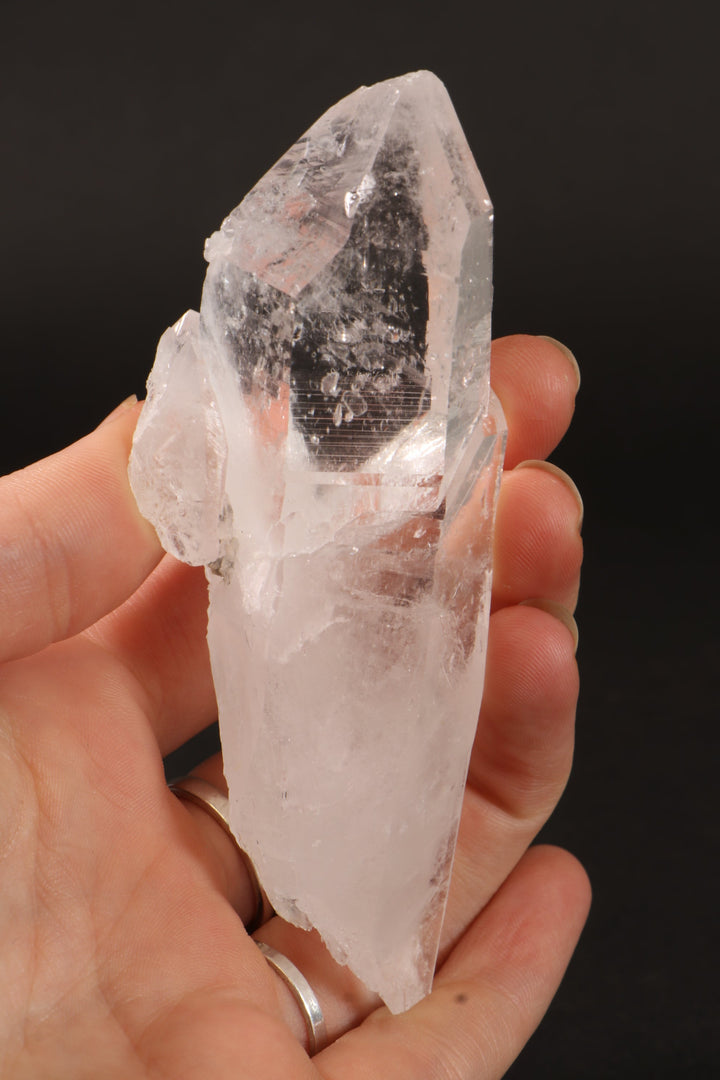 4" Colombian Lemurian DM255