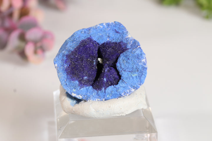 Russian Azurite Geode Half DM360