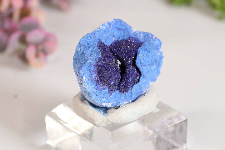Russian Azurite Geode Half DM360