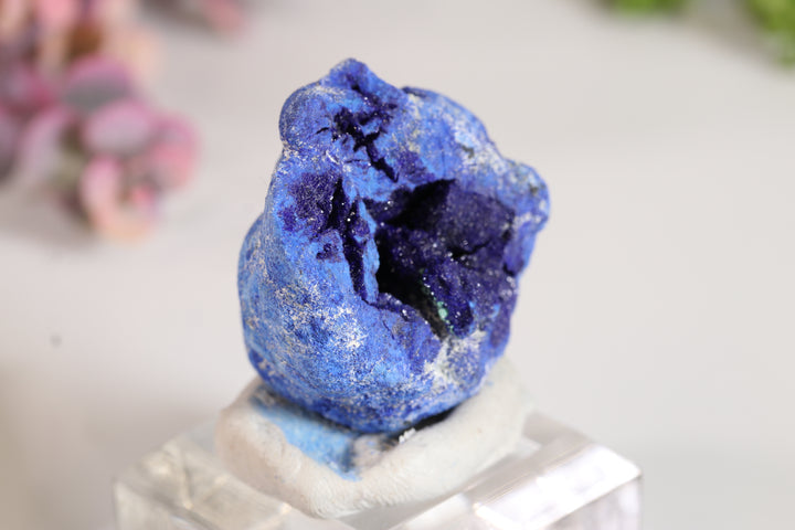 Russian Azurite Geode Half DM361
