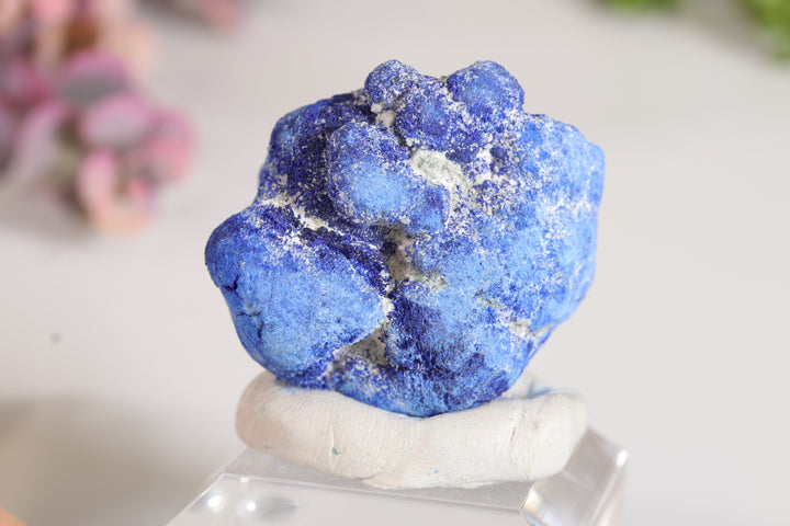 Russian Azurite Geode Half DM361