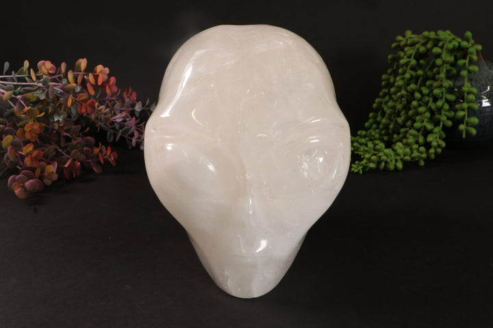 7" Quartz Starbeing  DM364