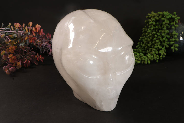 7" Quartz Starbeing  DM364