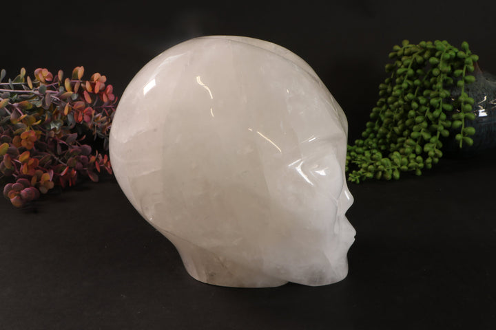 7" Quartz Starbeing  DM364
