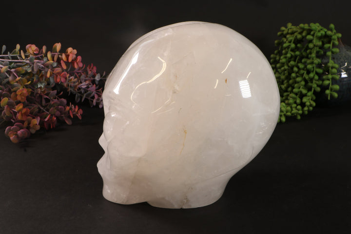 7" Quartz Starbeing  DM364
