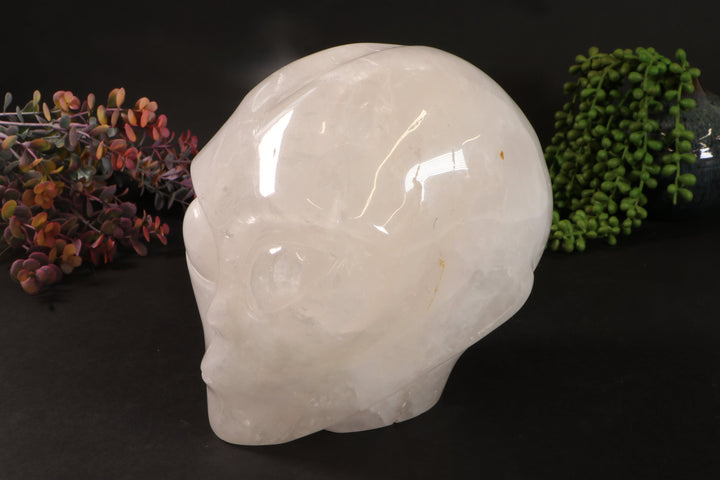 7" Quartz Starbeing  DM364