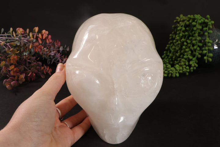 7" Quartz Starbeing  DM364