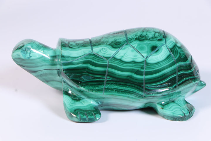 Malachite Turtle Carving DM454