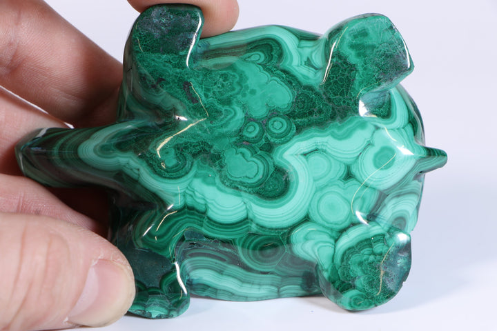 Malachite Turtle Carving DM454