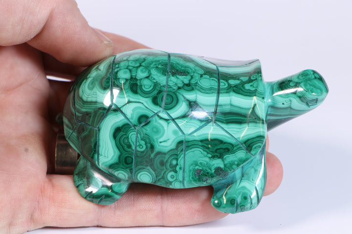 Malachite Turtle Carving DM454