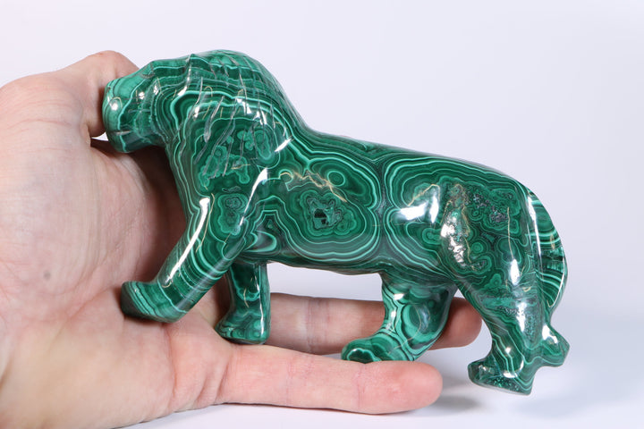 Malachite Lion Carving DM458