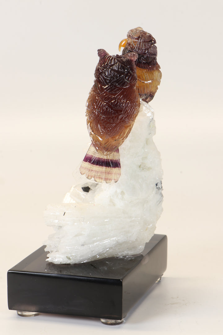 Fluorite Owls on Albite DM481