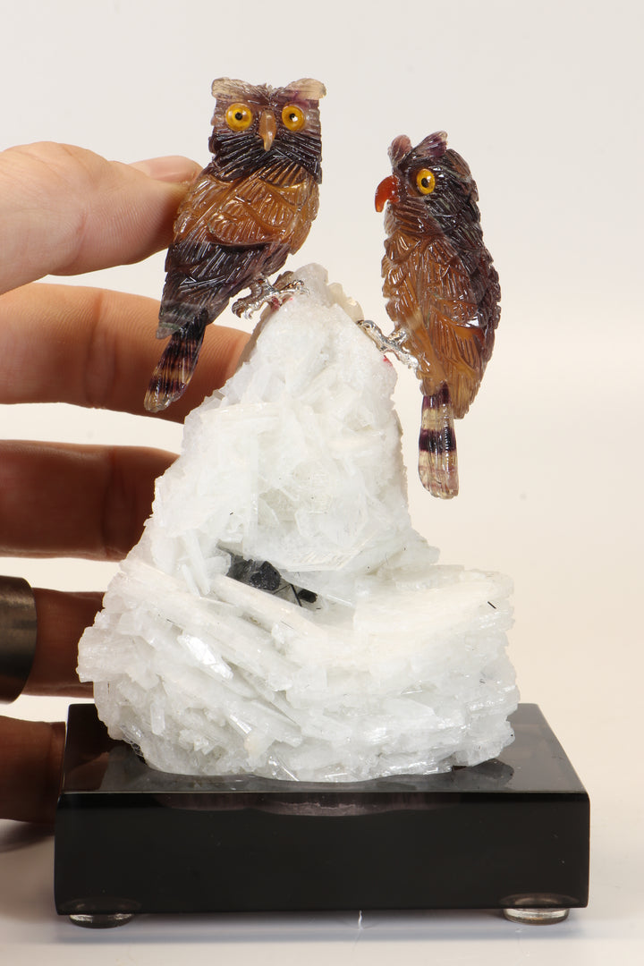 Fluorite Owls on Albite DM481
