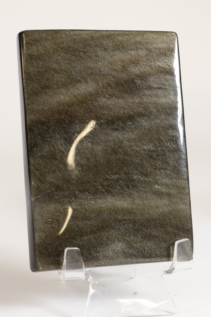 Gold Sheen Obsidian Medusa DM531