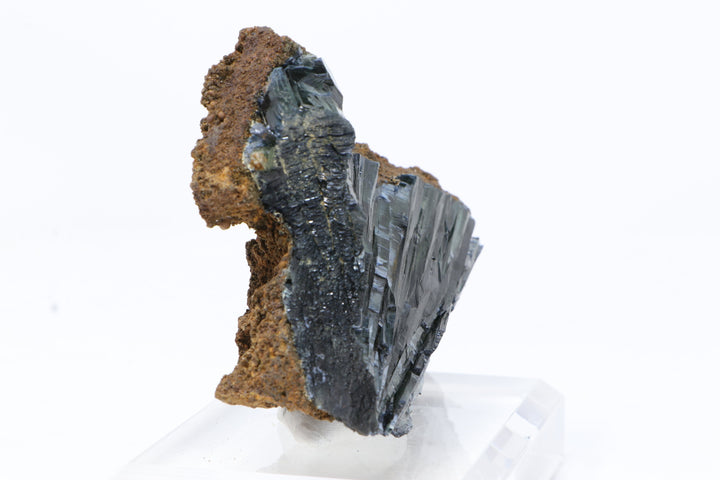 Brazilian Vivianite Specimen DM776