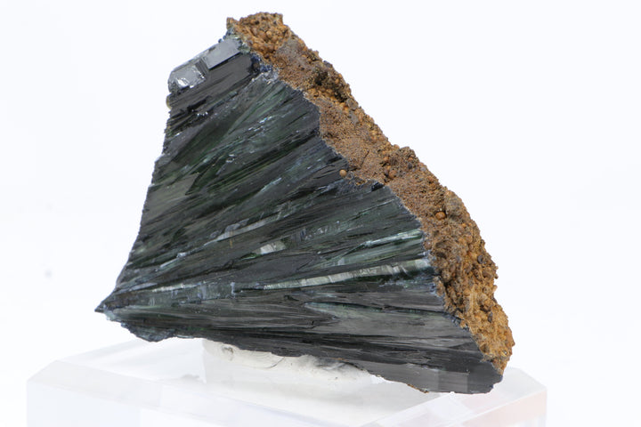 Brazilian Vivianite Specimen DM776