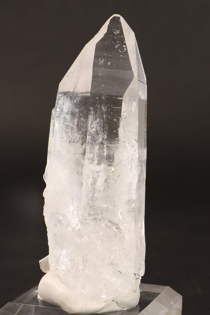 4.5" Colombian Lemurian DN284