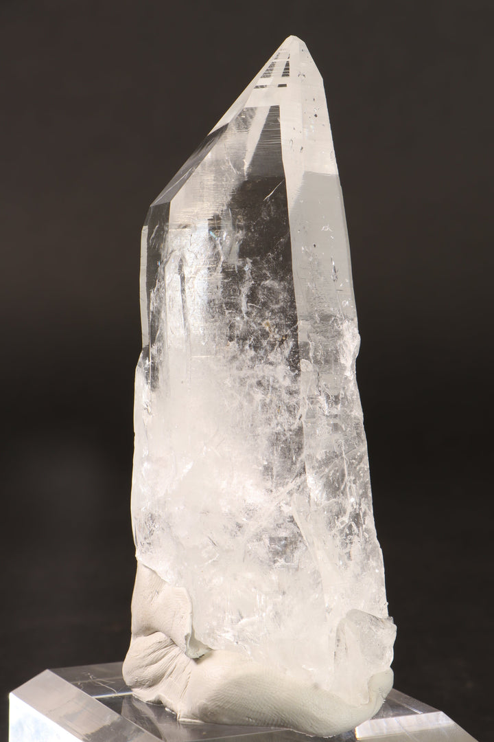 4.5" Colombian Lemurian DN284