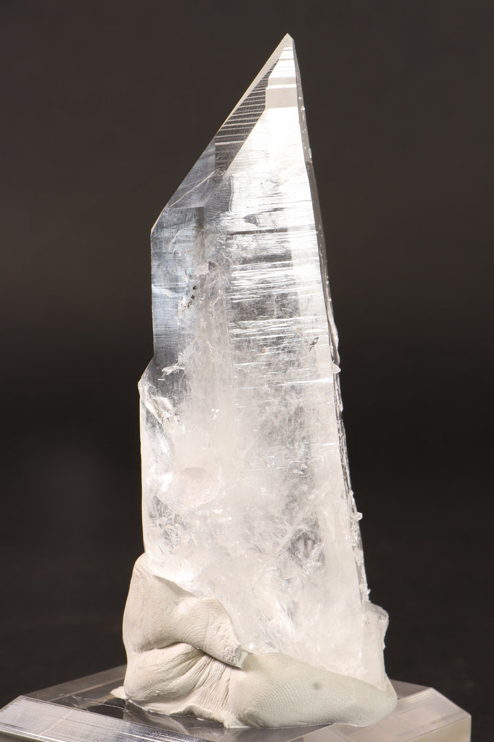 4.5" Colombian Lemurian DN284