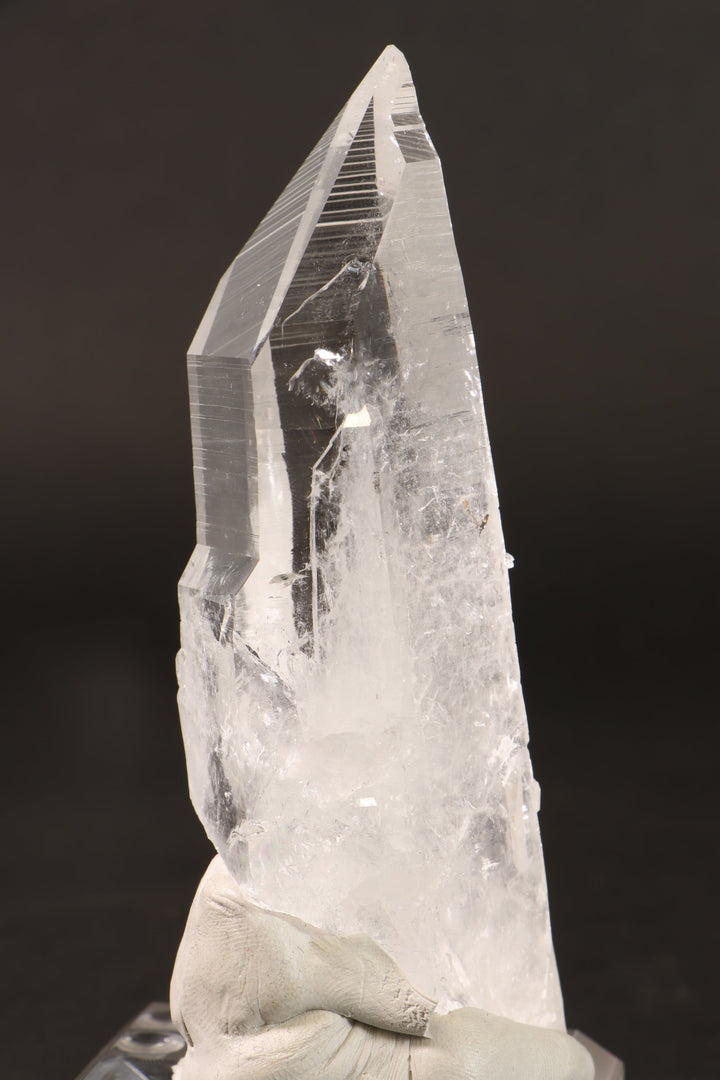 4.5" Colombian Lemurian DN284