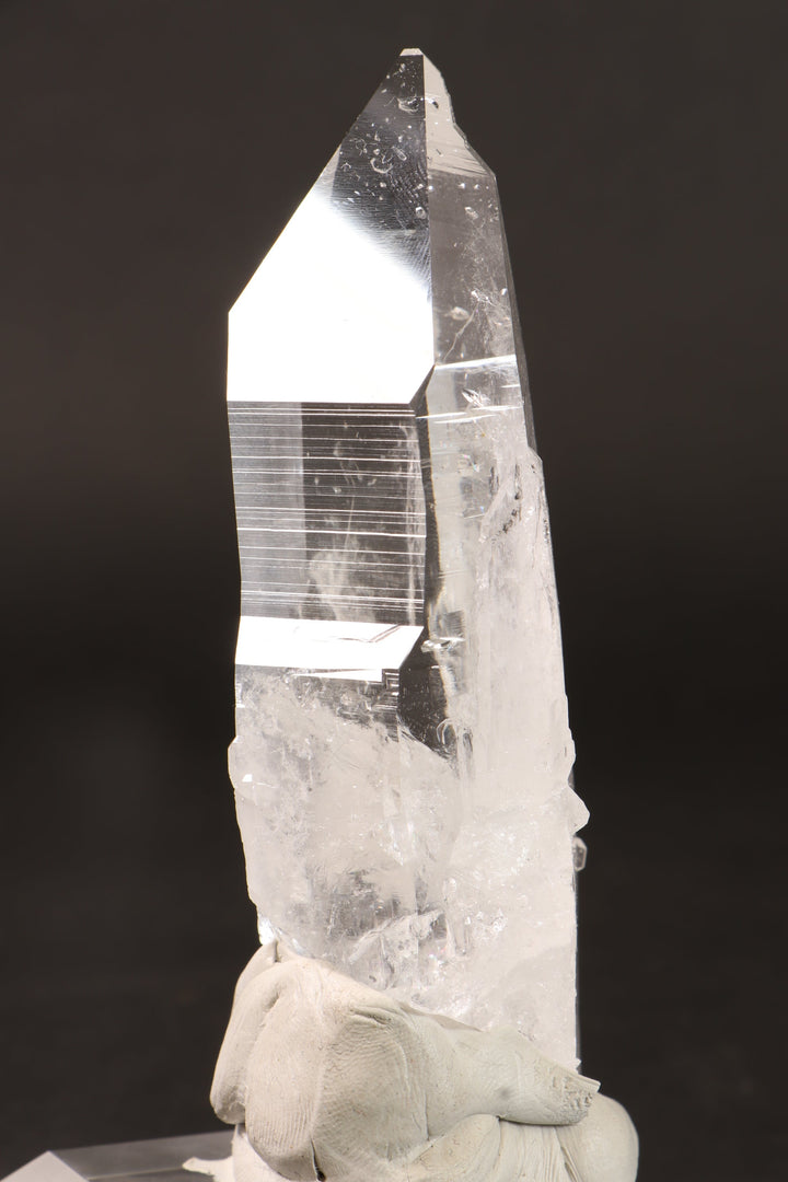 4.5" Colombian Lemurian DN284