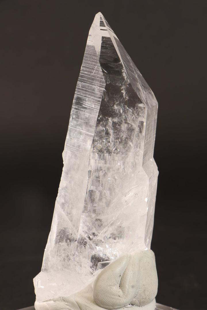 4.5" Colombian Lemurian DN284