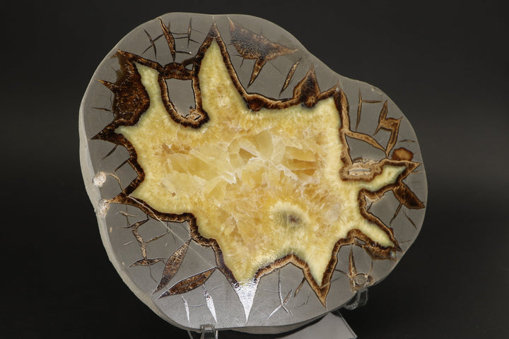 7.5" Septarian Slab DS029